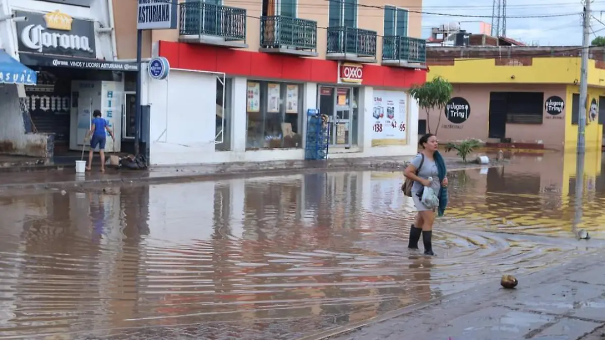 Centro de acopio